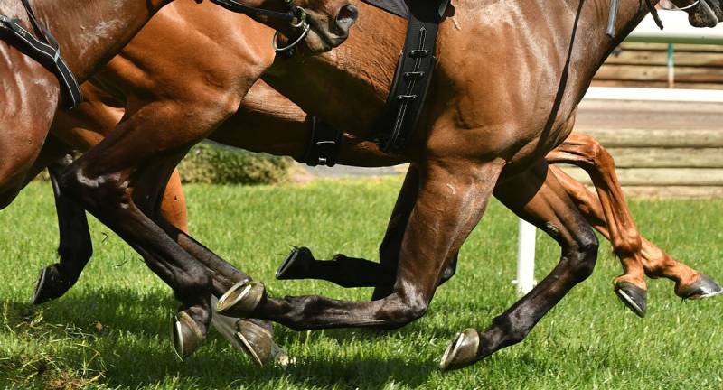 Northern Commercials renews sponsorship deal with Pontefract Races