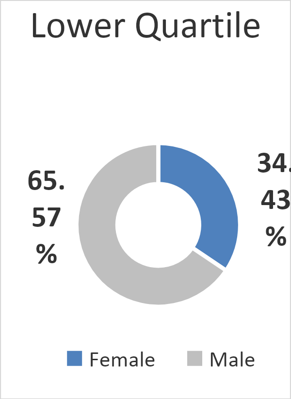 Gender Pay Gap Report 2023 - Northern Commercials